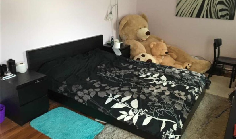 康州Connecticut,Norwalk furnitured房间出租 room re 图片 2