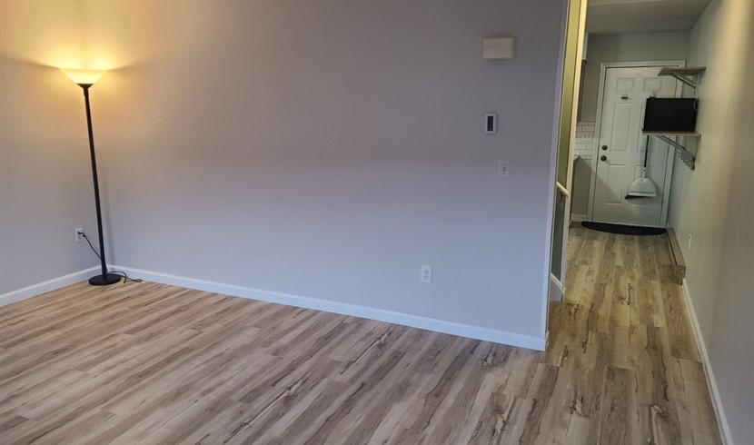 康州townhouse类型公寓 图片 3