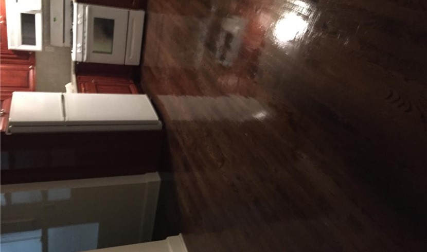 One bedroom and one living room for rent in downtown Stamford, Connecticut photo 4