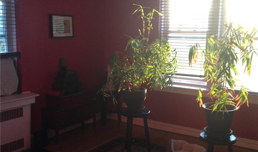 Two-bedroom, two-bathroom apartment for rent in Stamford, Connecticut, 2,300 per month with move-in fee photo 3