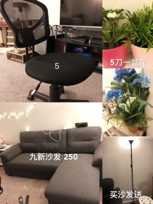 moving sale photo 5