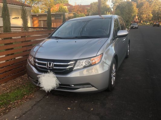 2016 Honda Odyssey 奥德赛 1.6万迈,有warranty,clean title,第一任车主 图片 6