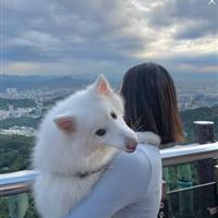诊所 高薪, 聘前台和助理各一名 图片 1