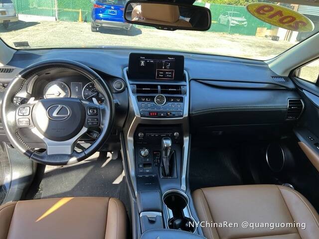 2019 Lexus NX300 图片 4
