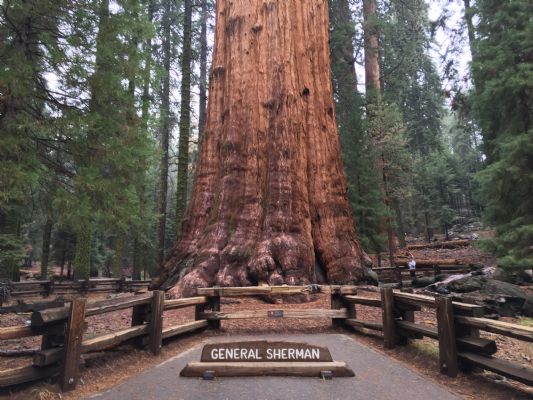 7-Day Tour to the Five Grand Canyons in the Western United States