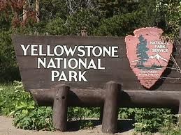 Yellowstone National Park Yellowstone Park Series