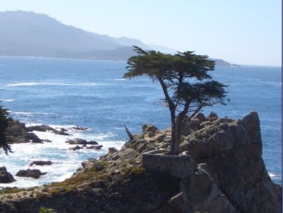 United States West Coast chartered car tour ken 5104170400 WeChat QQ 1446960504 photo 1