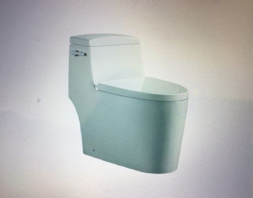 One Piece Toilet 图片 1