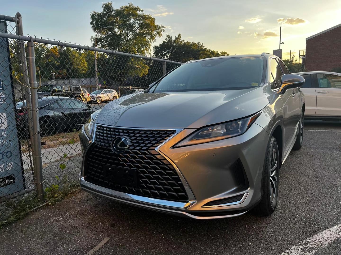 2020 Lexus Rx350 大屏带马克音响 图片 2