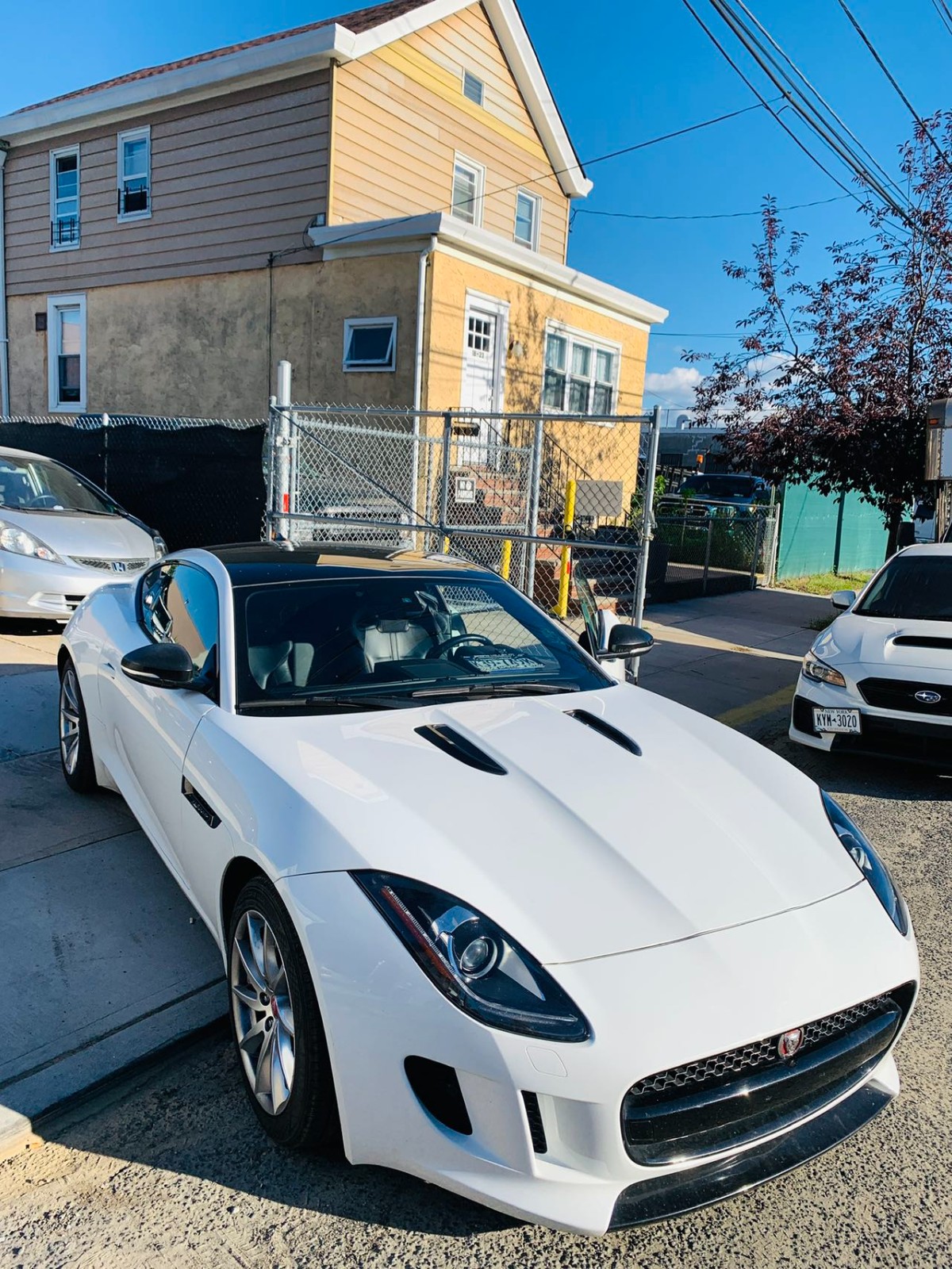 捷豹 JAGUAR F-TYPE 极漂亮的一辆车 图片 5