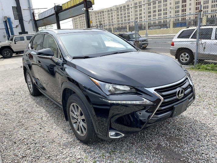 紐約 出售: 2016 Lexus NX 200t 高价收购|代客標车|车辆维修 图片 10