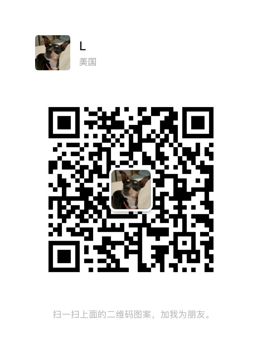 基金招聘/免费培训股票日内交易员