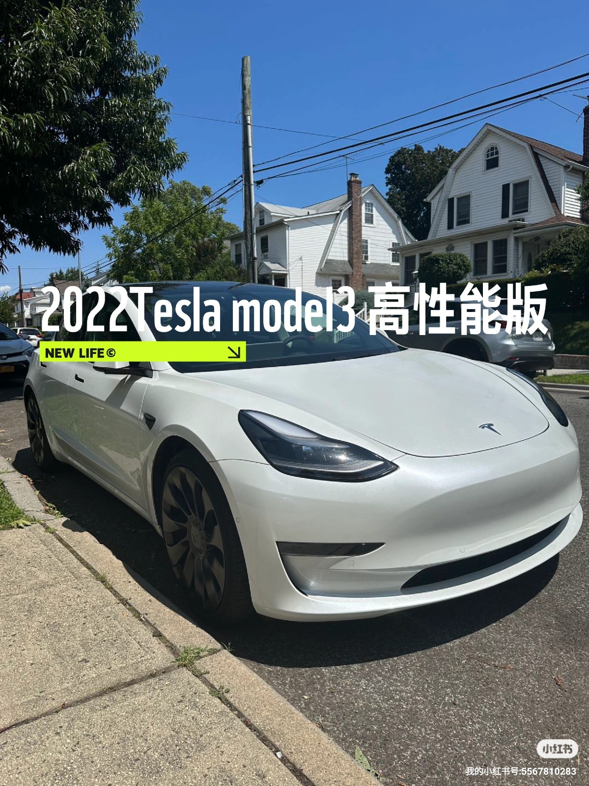纽约车二手2022特斯拉Tesla Model3高性能 纯电动0.8w迈 图片 3
