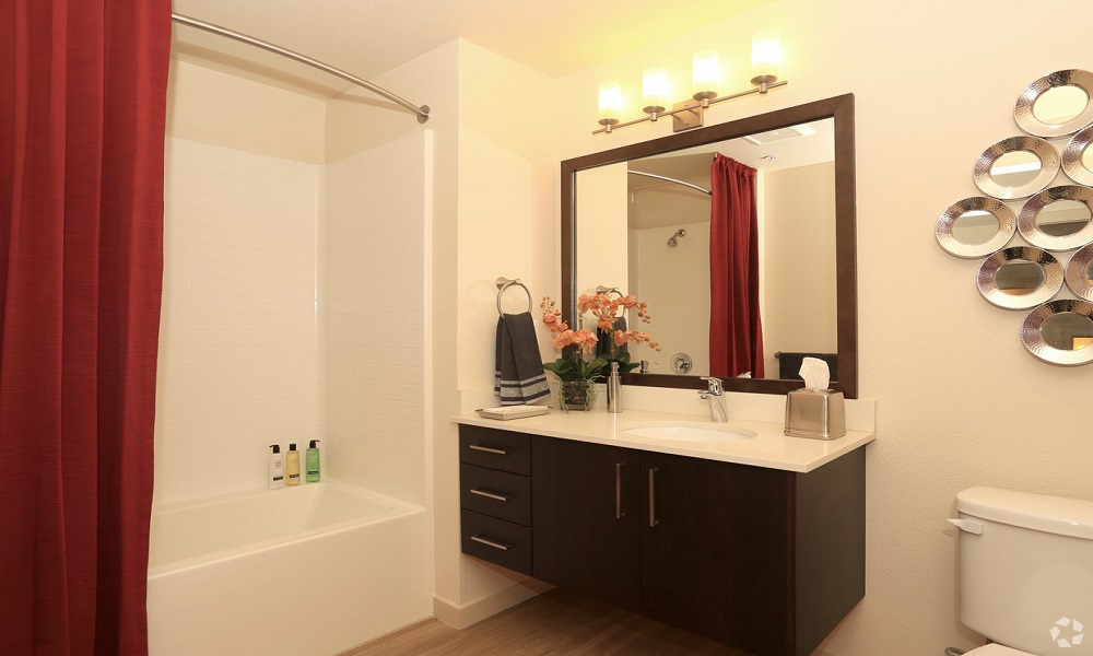 SPACIOUS 1 BED/ 1 BATH APARTMENT IN MANHATTAN AREA photo 8