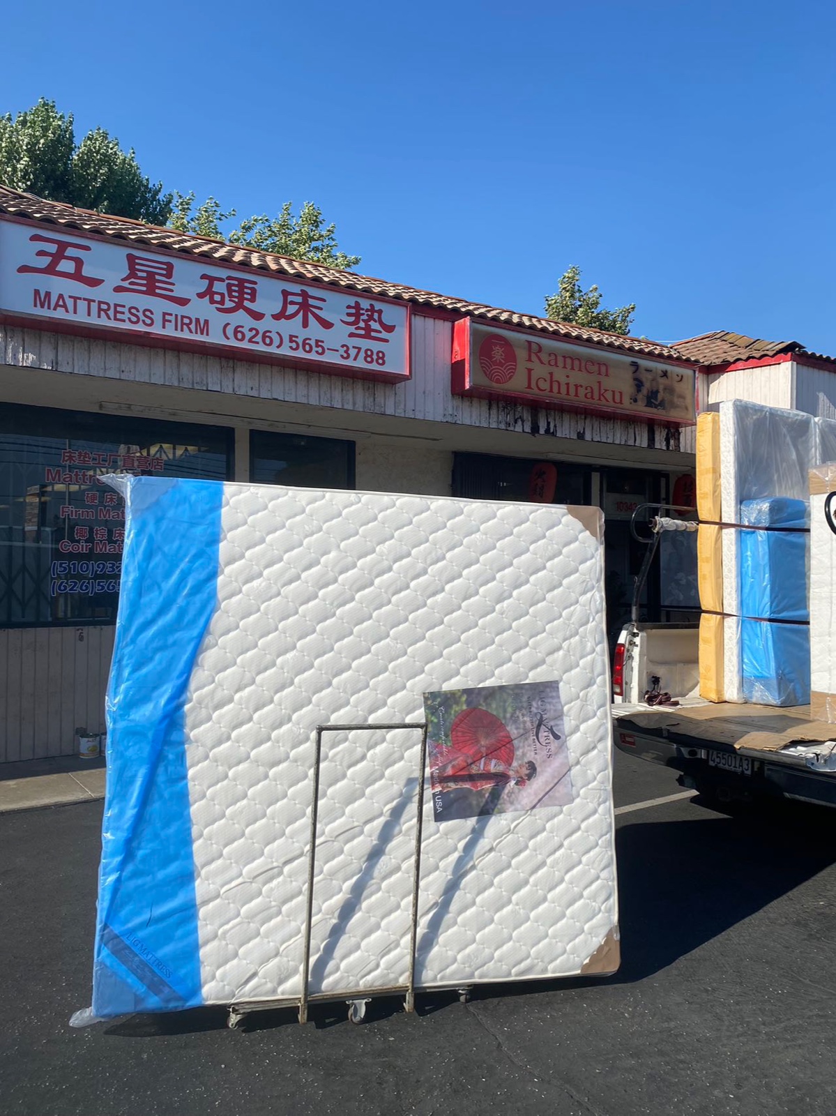 拯救老腰｜美国工厂直营椰棕硬床垫，超好睡