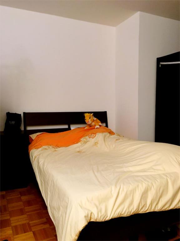 Good apartments have single rooms and suites, which can be rented for short or long periods, and are fully furnished.