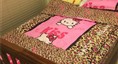 House for rent, fully furnished, with private bathroom, flexible lease period photo 3