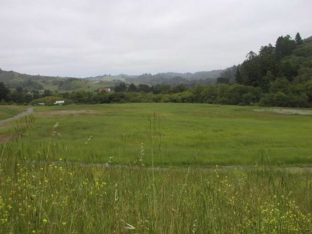 Spacious land area of over 39 acres. Great time to invest