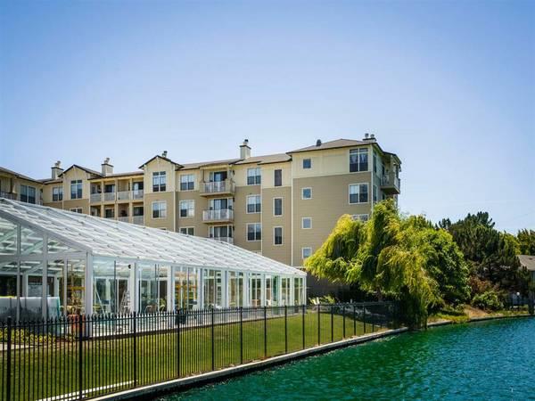 2 bedrooms, 2 bathrooms luxury apartment for rent in Foster City photo 1