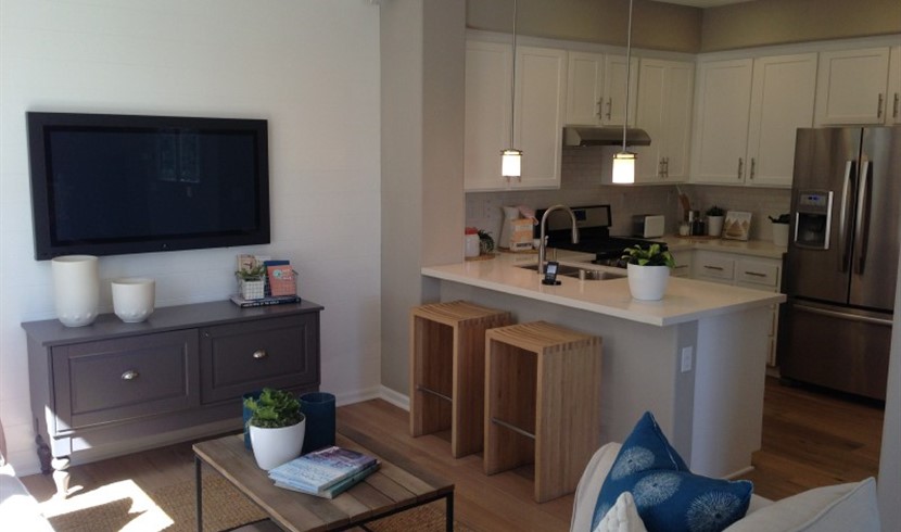 Milpitas / San Jose brand new townhouse for rent - super convenient location photo 5