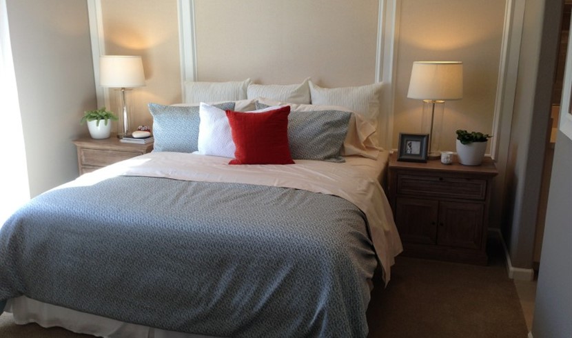 Milpitas / San Jose brand new townhouse for rent - super convenient location photo 1