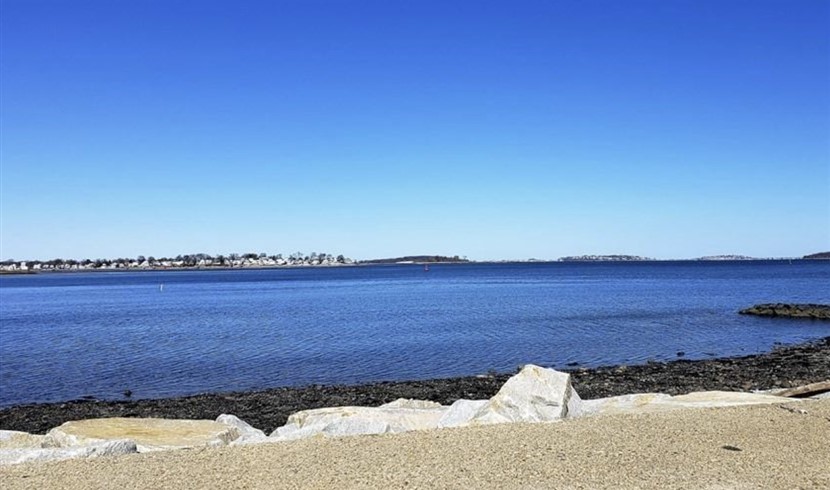 North Weymouth 整房出租(华人区) 图片 6