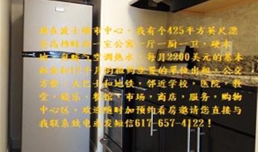 现在波士顿市中心,有个425平方英尺漂亮高档时尚一室 图片 3