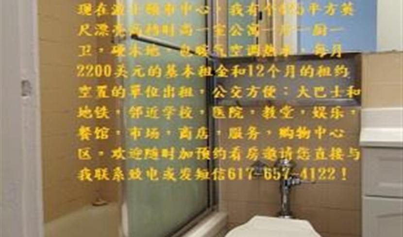 现在波士顿市中心,有个425平方英尺漂亮高档时尚一室 图片 5