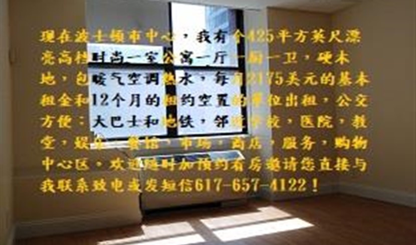 现在波士顿市中心,有个425平方英尺漂亮高档时尚一室 图片 6