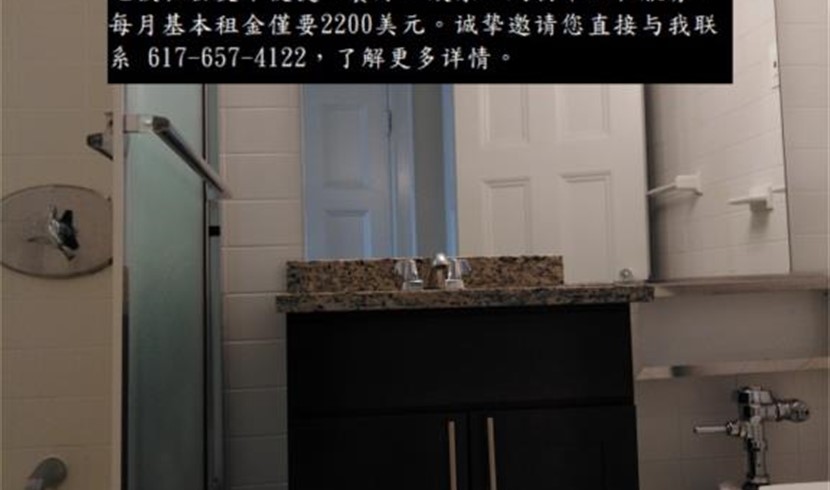 波士顿专业人士的漂亮高档时尚的一室公寓靠近学校 图片 4
