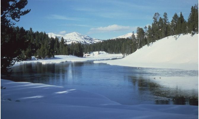 全美独家冬季黄石公园冰雪胜景5天4晚特价788买二送一 图片 5