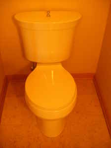 American Standard Custom Toilet 2 piece 16 gallon and Porcher Sink 图片 3