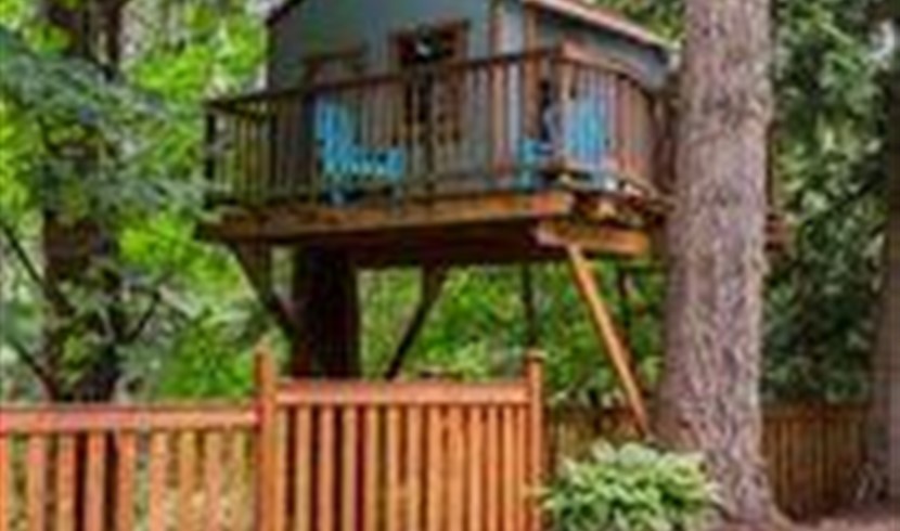 A unique place photo 8