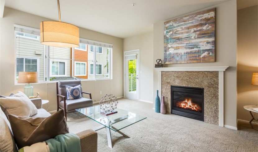 Perfect Sammamish Apartment photo 3