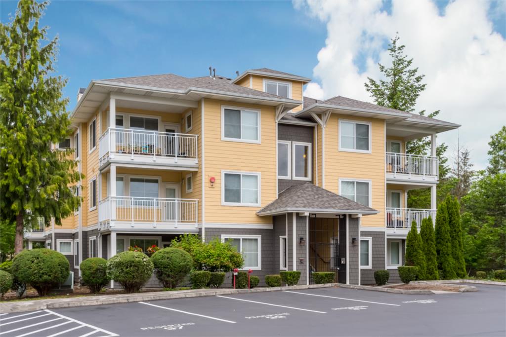 Perfect Sammamish Apartment photo 1