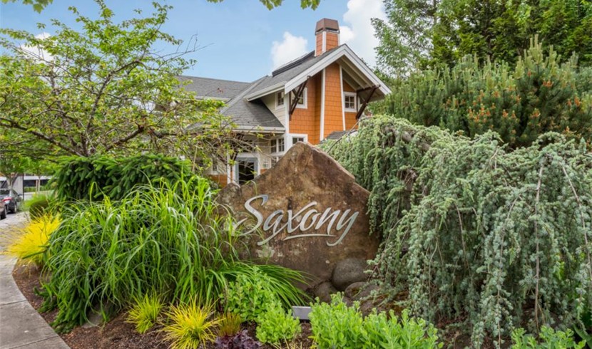 Perfect Sammamish Apartment photo 7