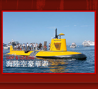 美國皇家旅遊,專精一日遊機場接送及商務旅遊 图片 4