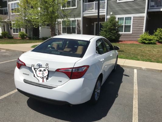 2015 Toyota Corolla LE PLUS in excellent condition clean title for sale photo 5