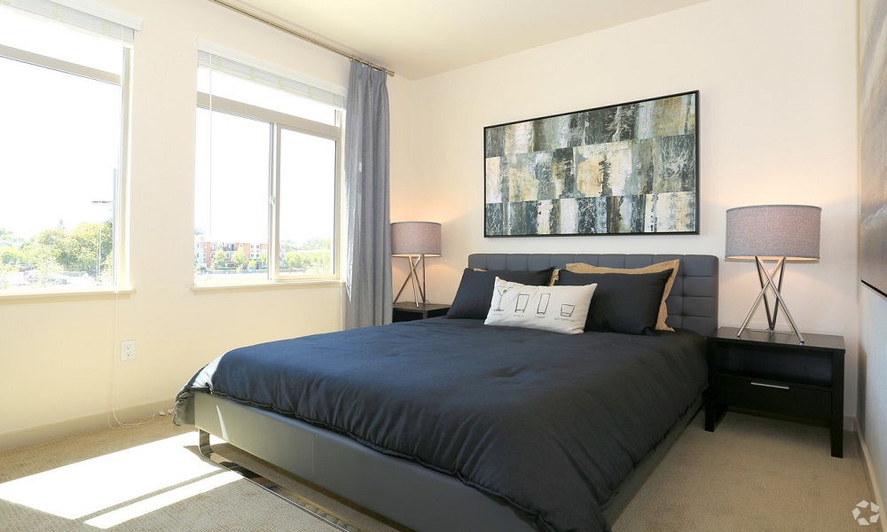 SPACIOUS 1 BED/ 1 BATH APARTMENT IN MANHATTAN AREA photo 3