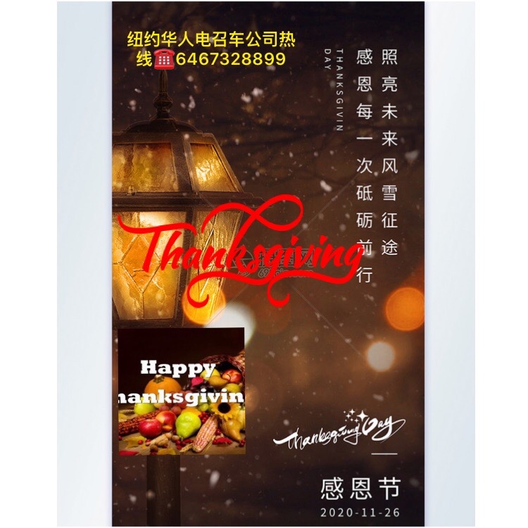 纽约华人旅游机场接送电召车服务6467328899 图片 2