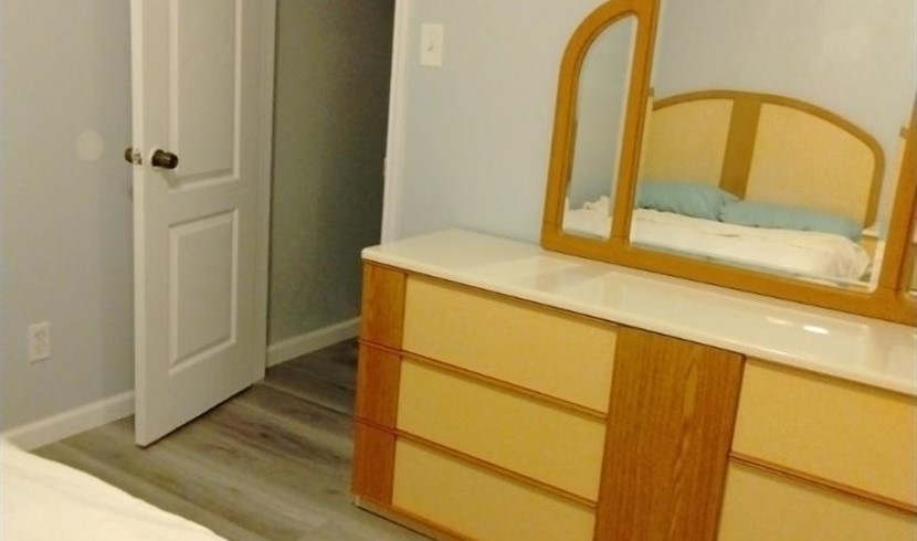 Houston Chinatown new house for rent photo 4