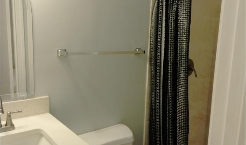 Houston Chinatown new house for rent photo 5