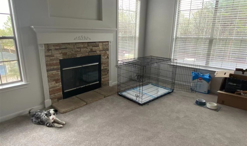 Willowbrook nearby 2b2b sublet the entire building with free furniture photo 2