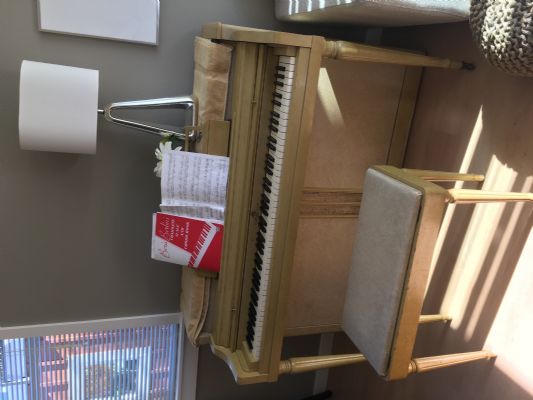 The price of moving and transferring piano is very cost-effective photo 4