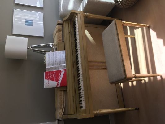 The price of moving and transferring piano is very cost-effective photo 6