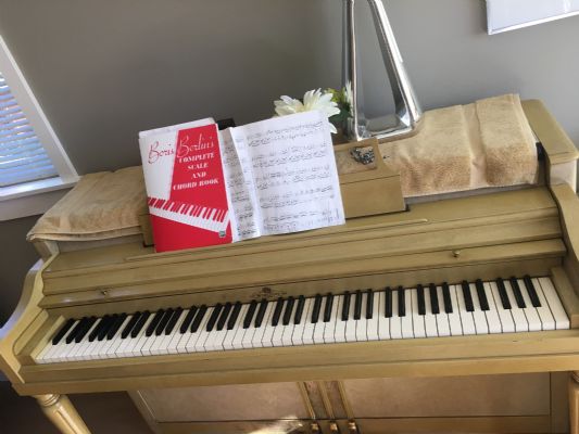 The price of moving and transferring piano is very cost-effective photo 7