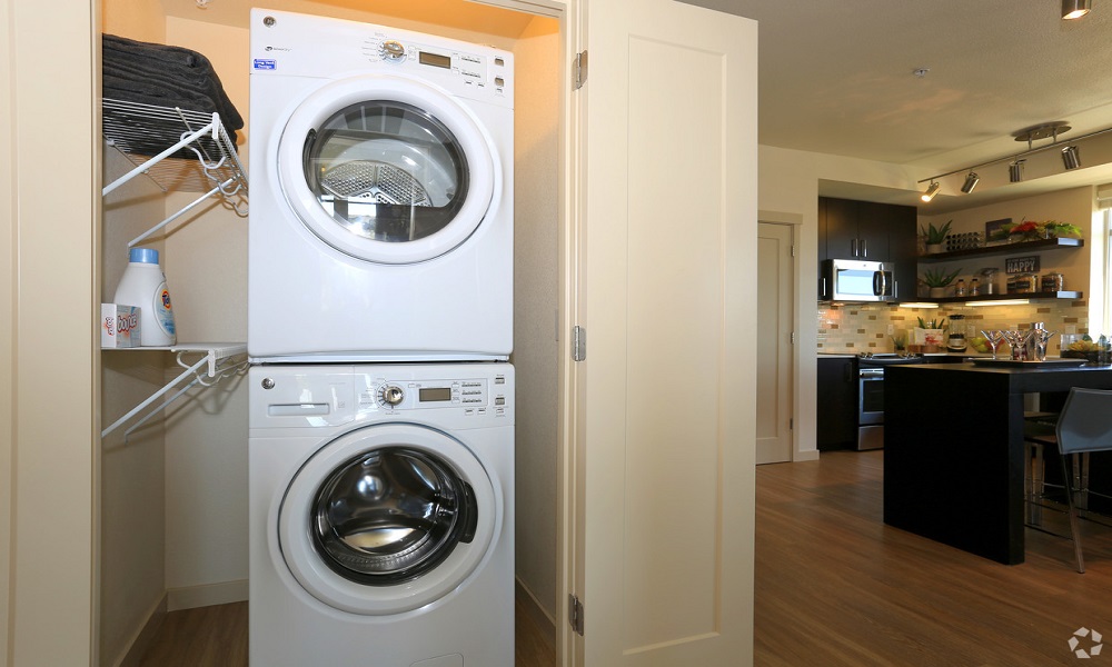 SPACIOUS 1 BED/ 1 BATH APARTMENT IN MANHATTAN AREA photo 7