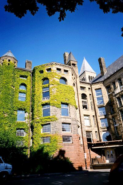 康乃尔大学台湾同学会