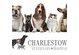 Charlestown Veterinary Hospital