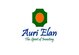 Auri Elan Financial Group